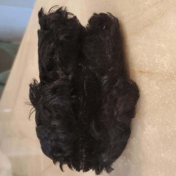 Vintage Steiff Poodle "Snobby" - Picture 8 of 16